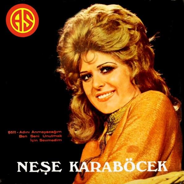 Album cover art for "Adını Anmayacağım" by Neşe Karaböcek