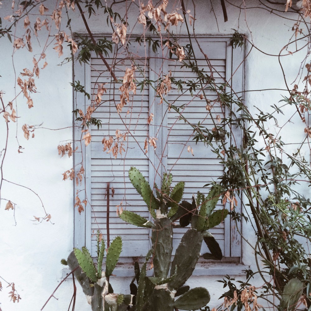 Cover image for Split Album