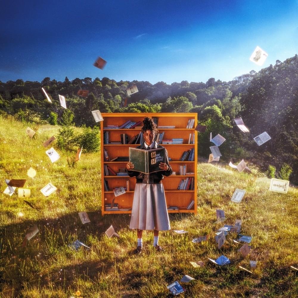 Cover image for How To Be Human