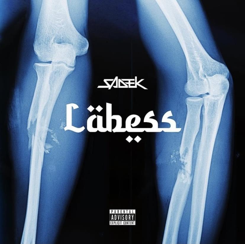 Album cover art for "Labess" by Sadek