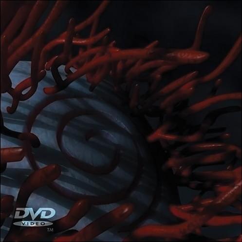 Schism by Tool