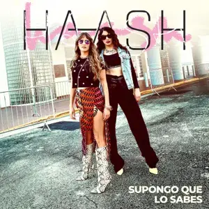 Supongo Que Lo Sabes by Ha-Ash