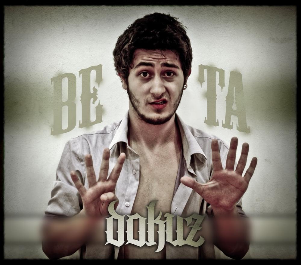 Cover image for Dokuz