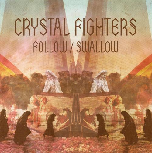Cover image for Follow/Swallow