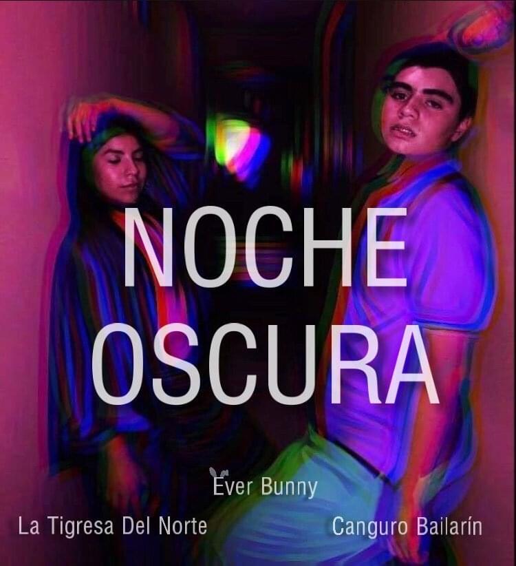 Album cover art for "Noche Oscura" by La Tigresa Del Norte & Ever Bunny & El Canguro Bailarín