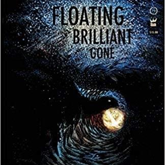 Cover image for Floating, Brilliant, Gone