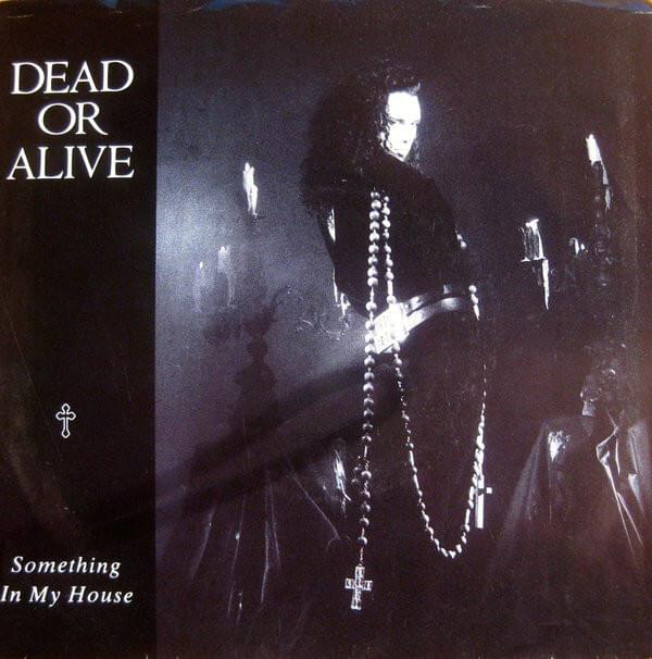 Album cover art for "Something In My House" by Dead or Alive