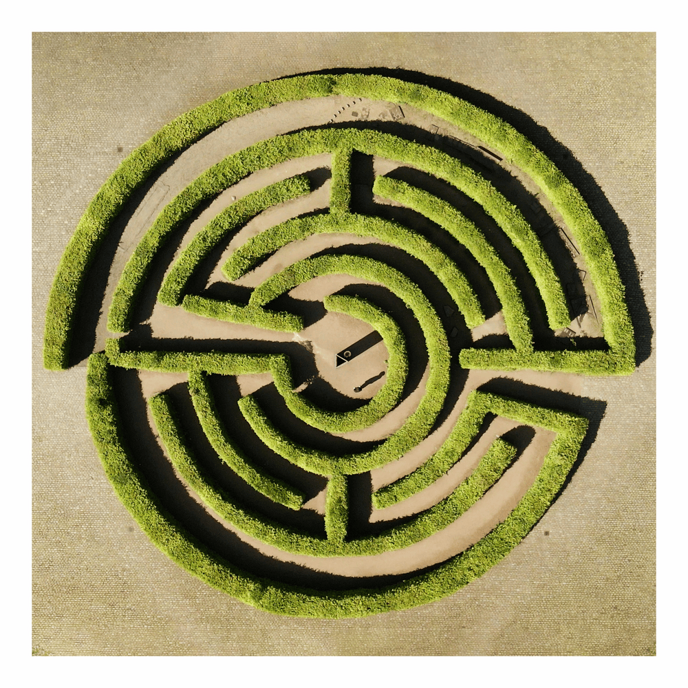 Album cover art for "Wohin" by Sam Sillah