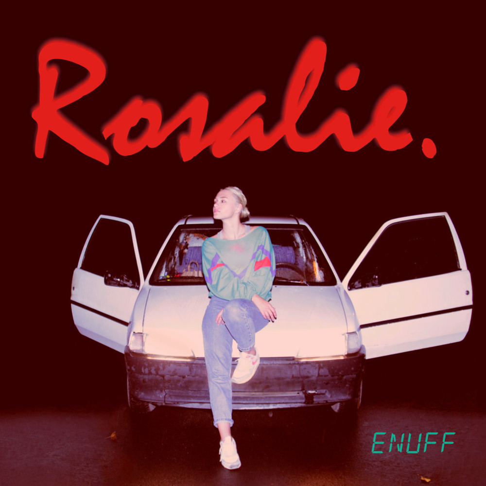 Cover image for Enuff