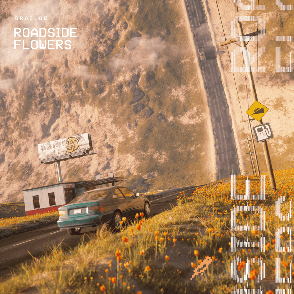 Album cover art for "Roadside Flowers" by DROELOE