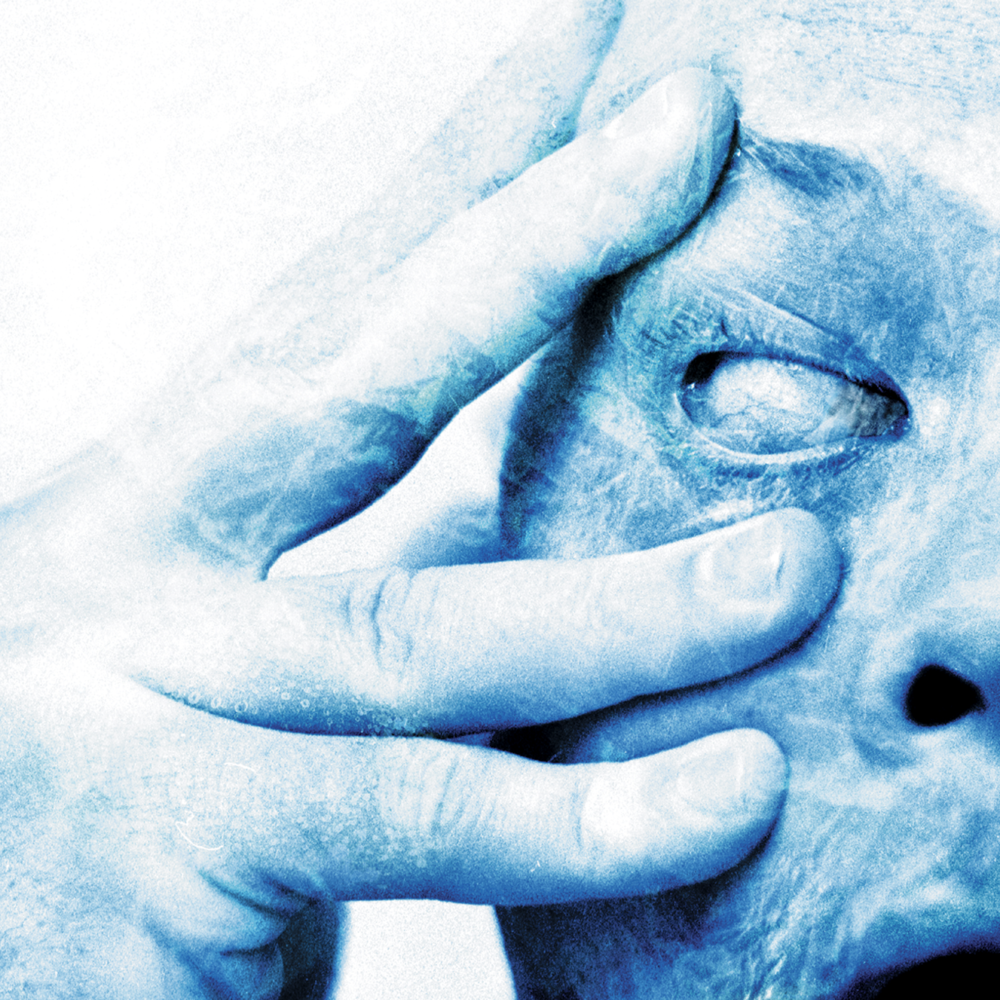 Album cover art for "Strip the Soul" by Porcupine Tree