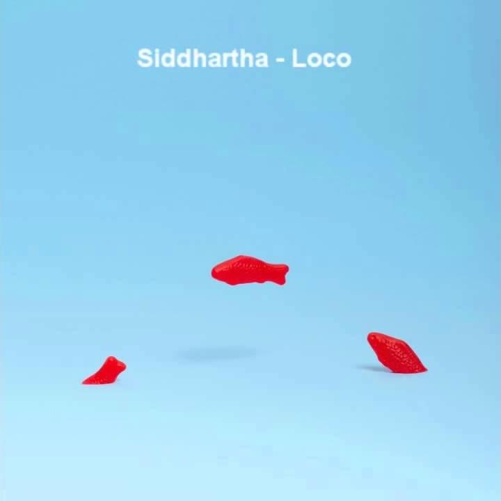 Loco by Siddhartha