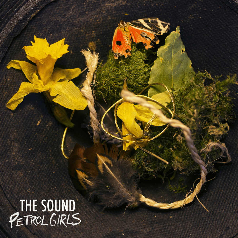 Album cover art for "The Sound" by Petrol Girls