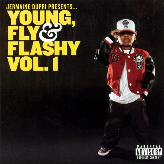 Cover image for Young, Fly & Flashy, Vol. 1