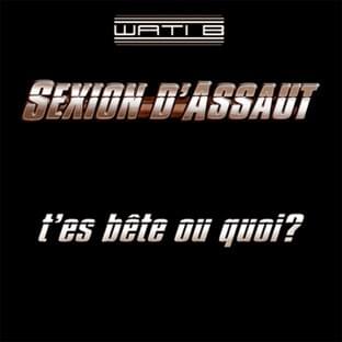 Album cover art for "T’es bête ou quoi ?" by Sexion d’Assaut