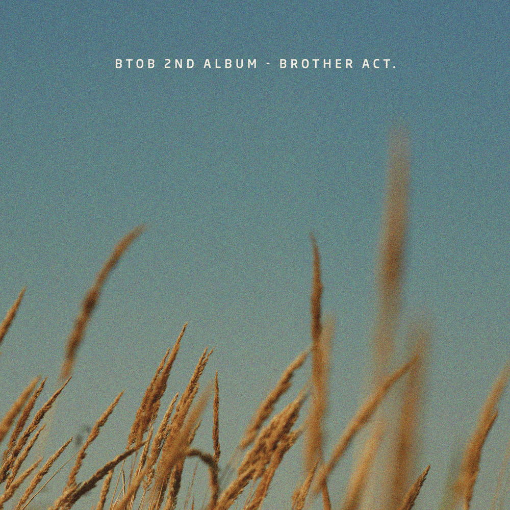 Cover image for Brother Act.