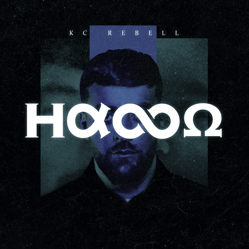 Cover image for Hasso