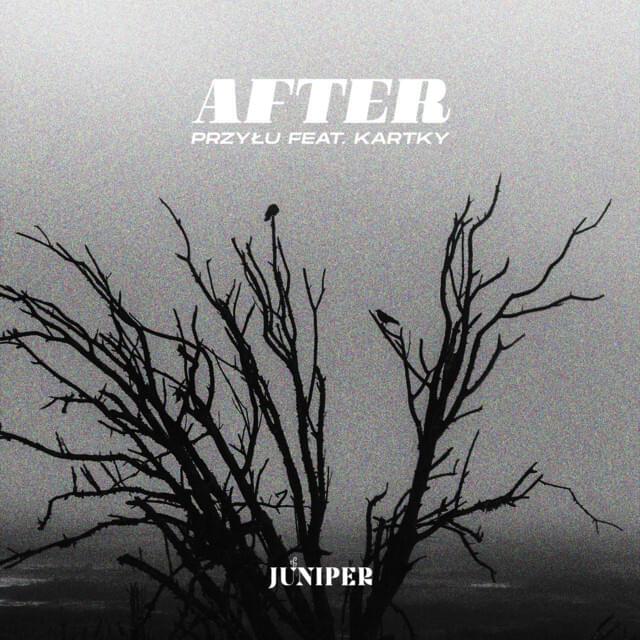 Album cover art for "After" by przyłu & Kartky