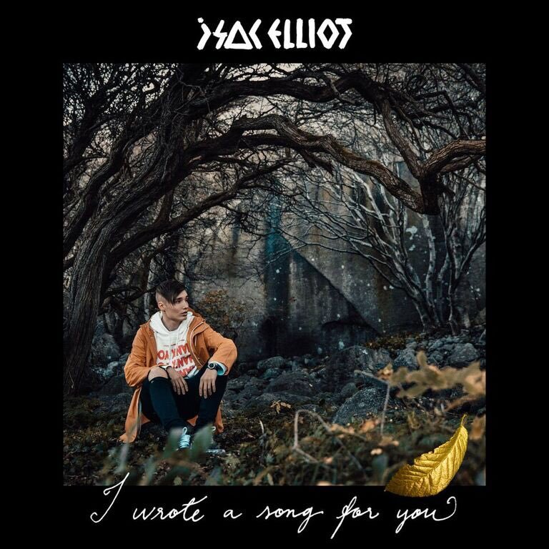 I Wrote a Song for You by Isac Elliot