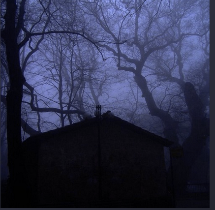 Album cover art for "Shame" by Vision4k