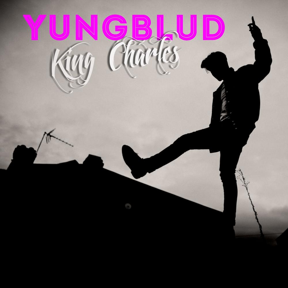 Album cover art for "King Charles" by YUNGBLUD