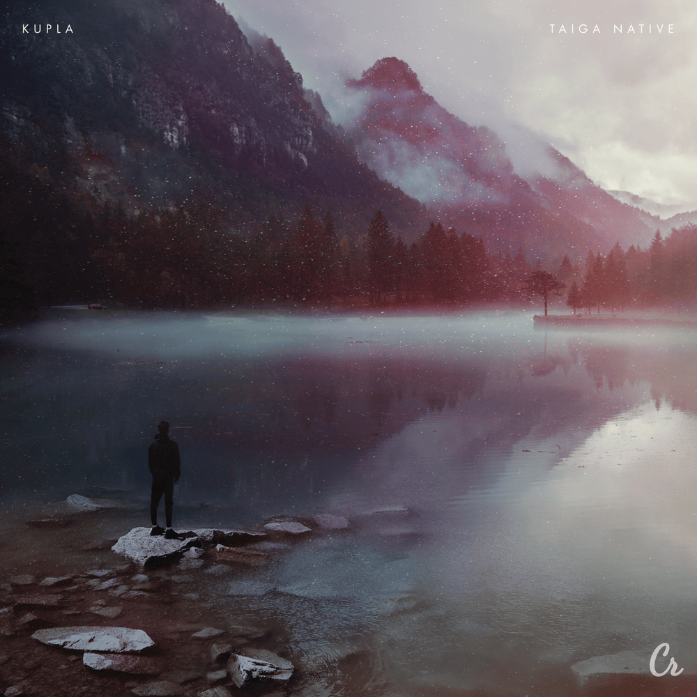 Cover image for Taiga Native
