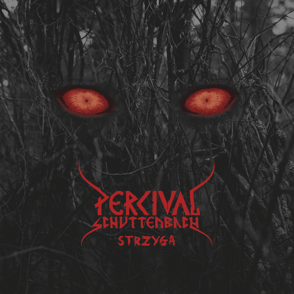 Cover image for Strzyga
