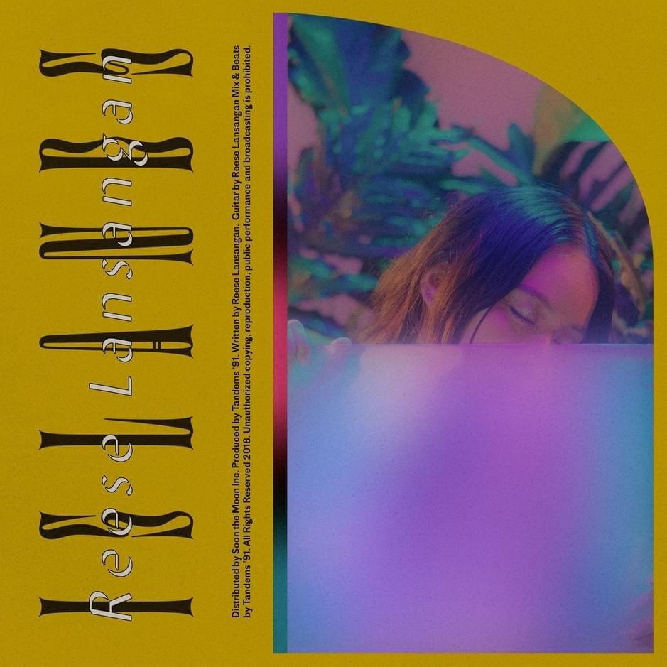 Cover image for Islands