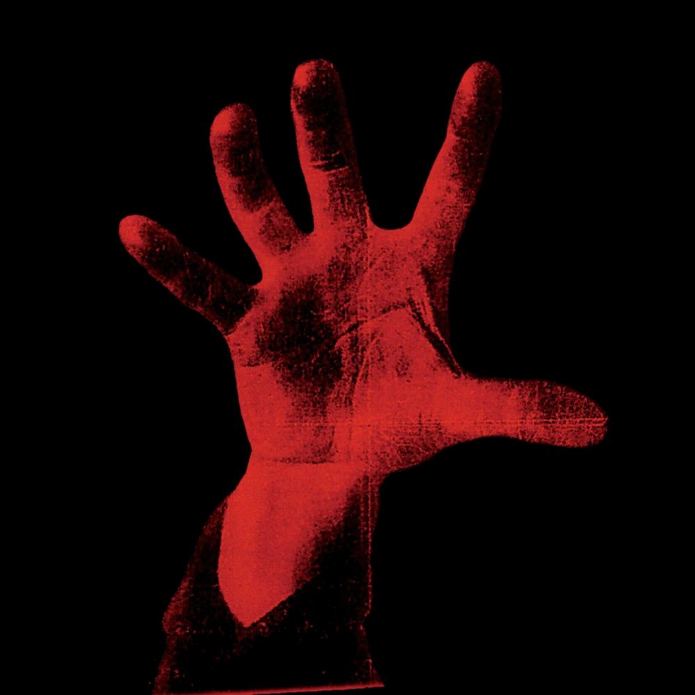 Cover image for System of a Down (Deluxe)