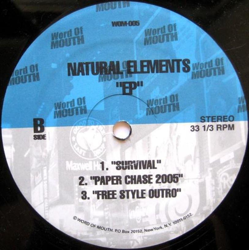 Album cover art for "Survive" by Natural Elements