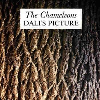 Cover image for Dali’s Picture