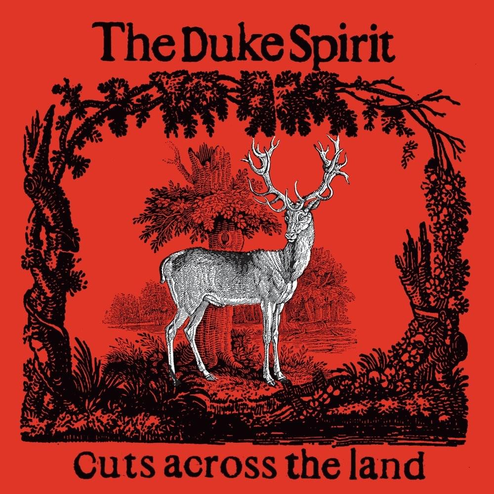 Win Your Love by The Duke Spirit