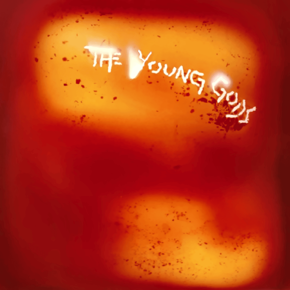 Longue Route by The Young Gods
