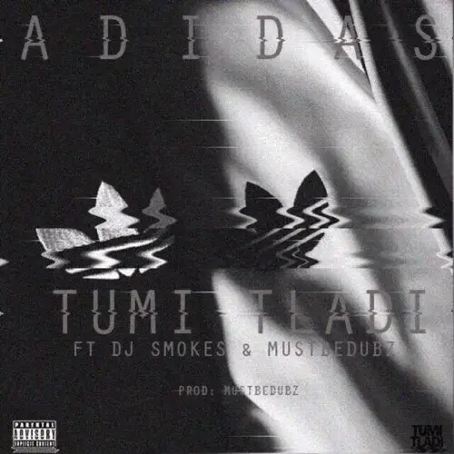 Album cover art for "Adidas" by DJ Smokes