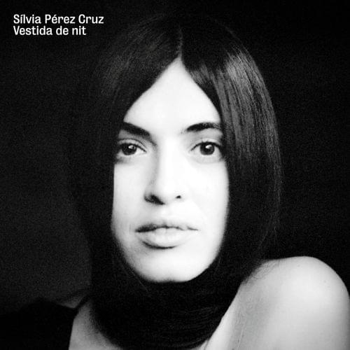 Cover image for Vestida De Nit