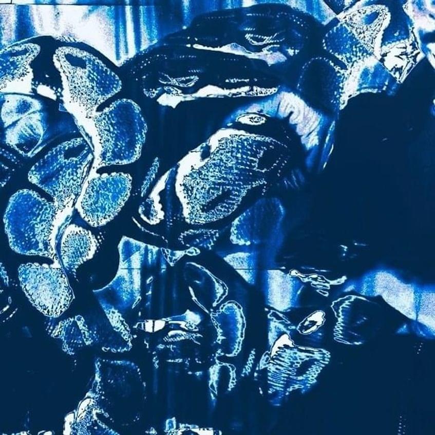 Album cover art for "CHAKRa" by Len