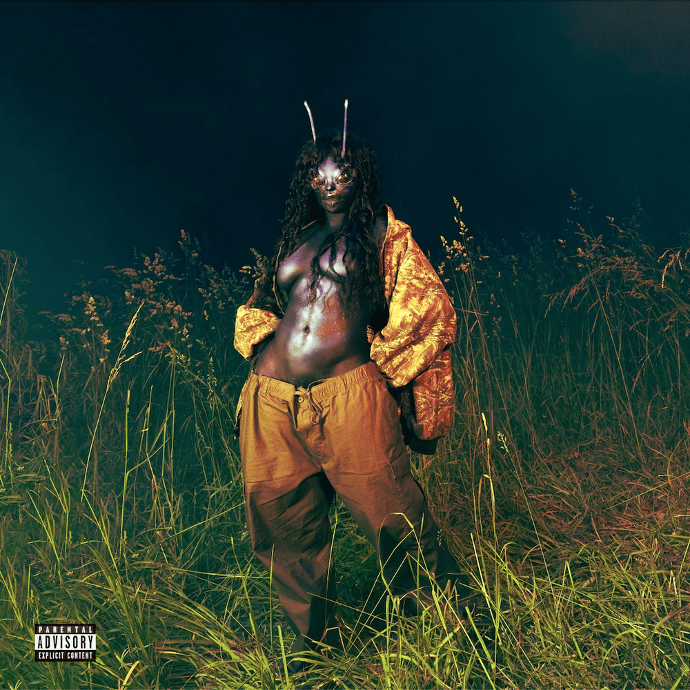 Cover image for SOS Deluxe: LANA