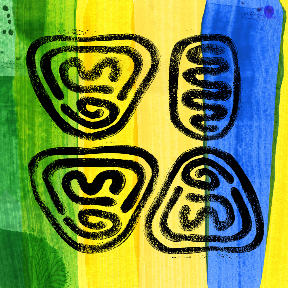 Album cover art for "VIVA" by Timbuktu