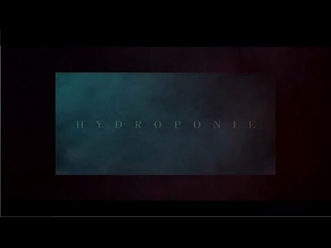 Album cover art for "Hydroponie" by Alpha Wann