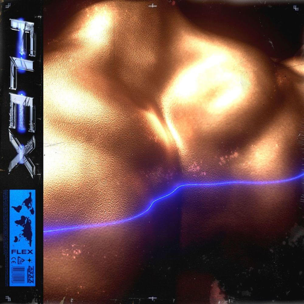 Album cover art for "Flex" by Alizzz