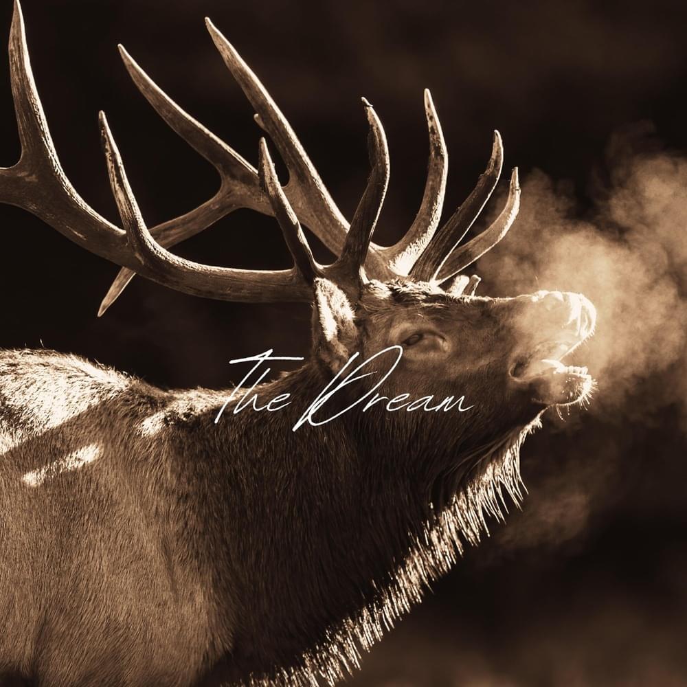 Cover image for The Dream