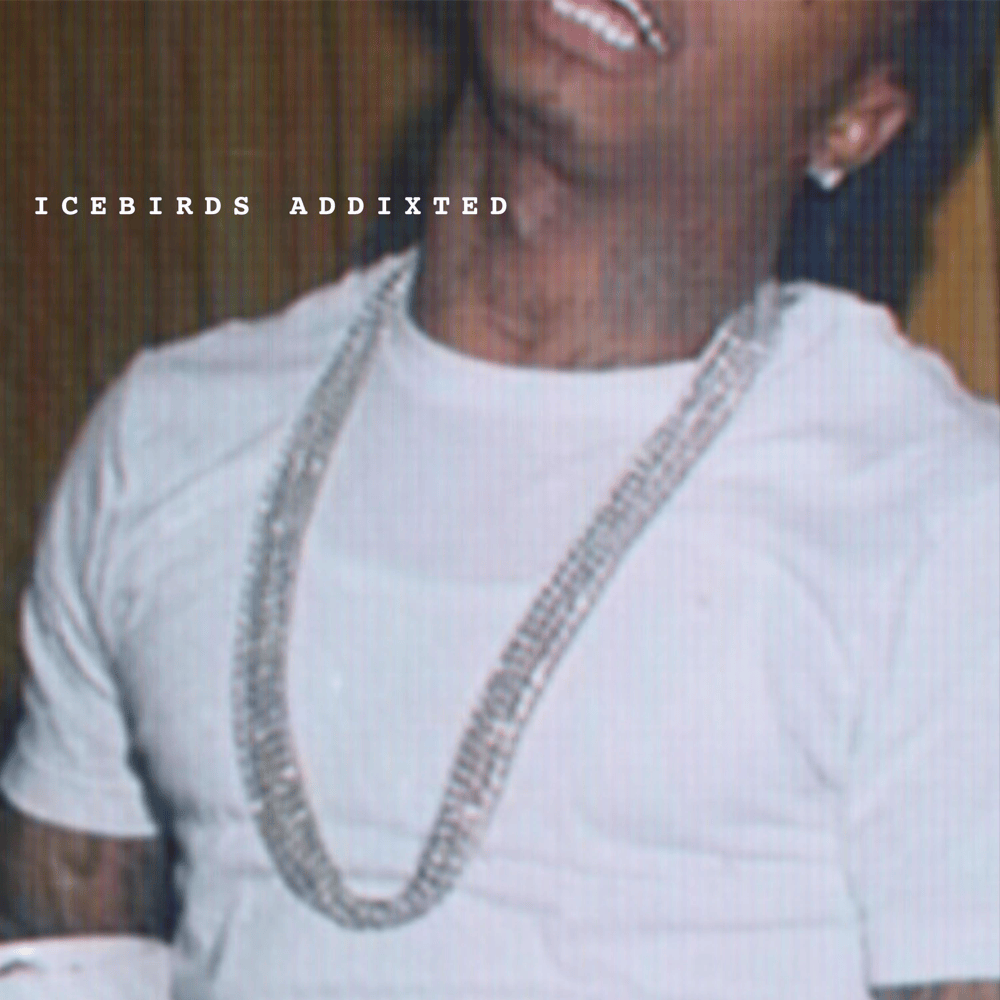 Album cover art for "Addixted" by IceBirds