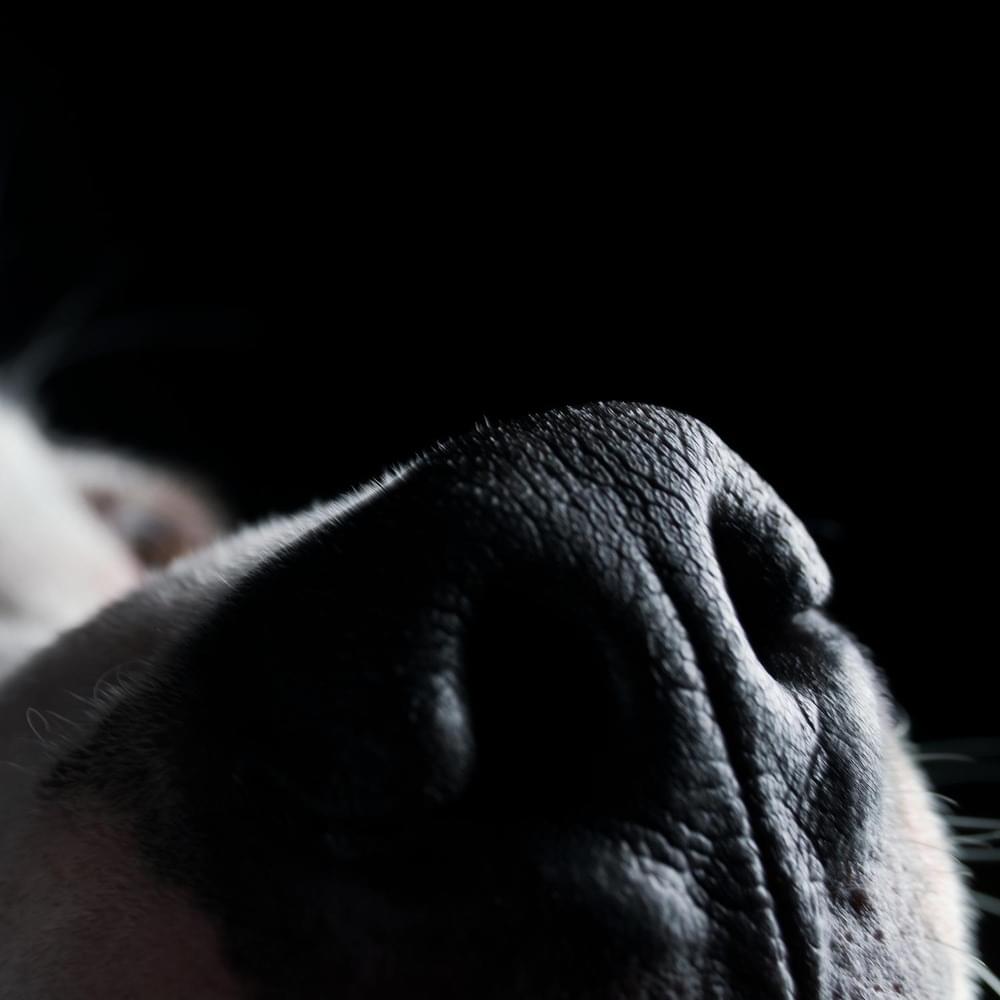 Album cover art for "Money" by Roger Waters