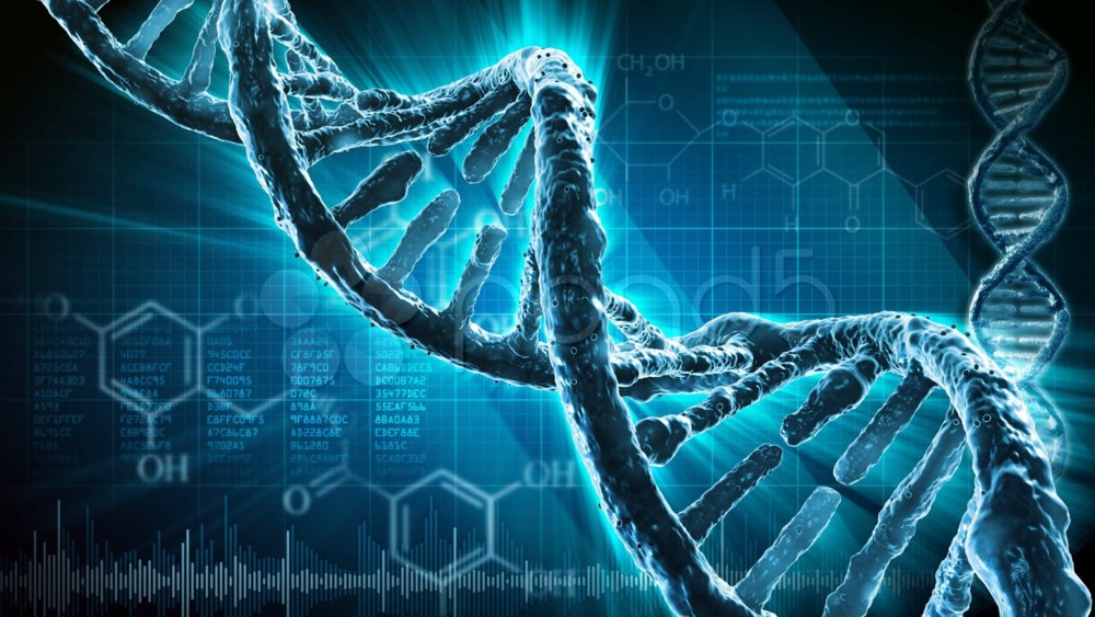 Album cover art for "GENETIC" by PKHAT