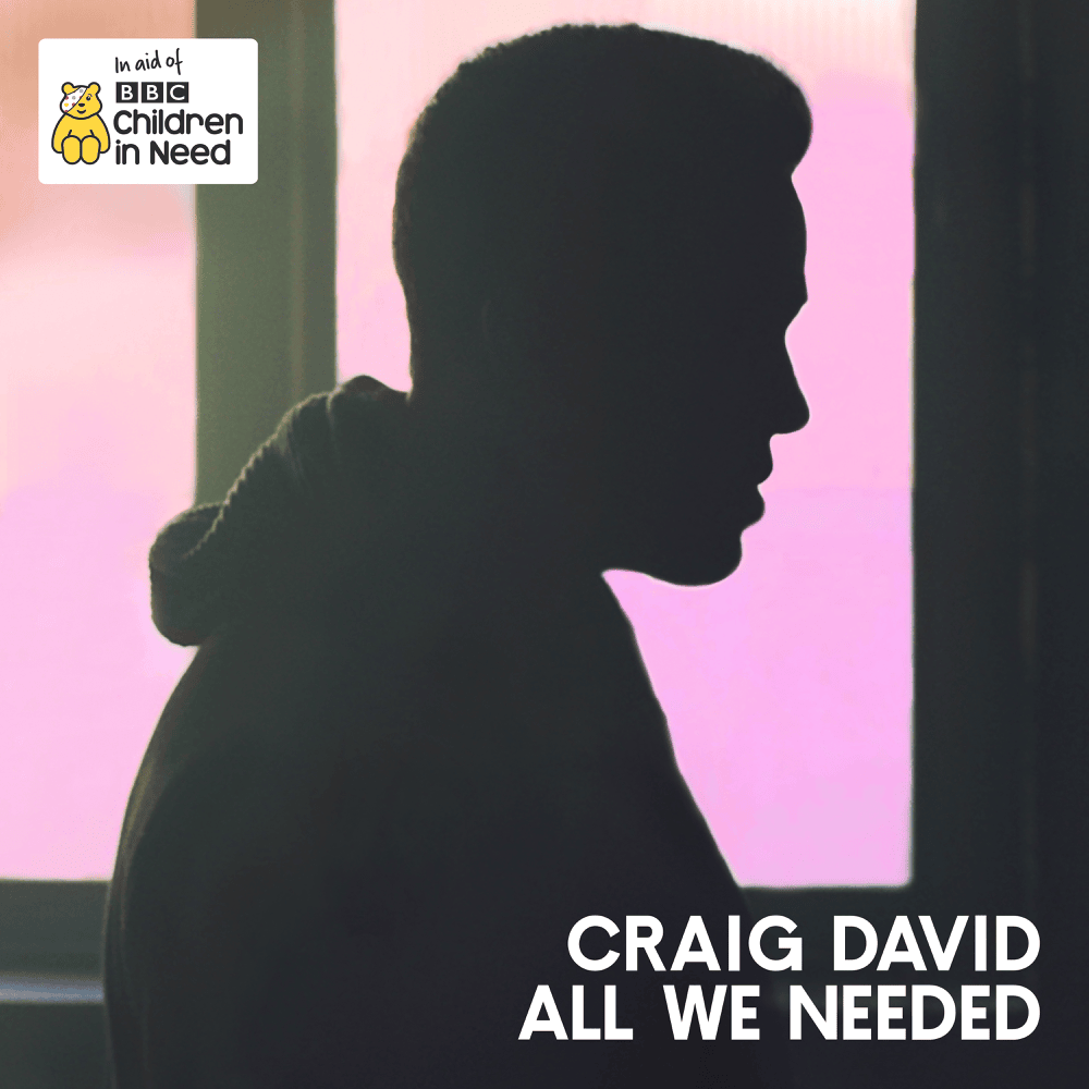 Album cover art for "All We Needed" by Craig David