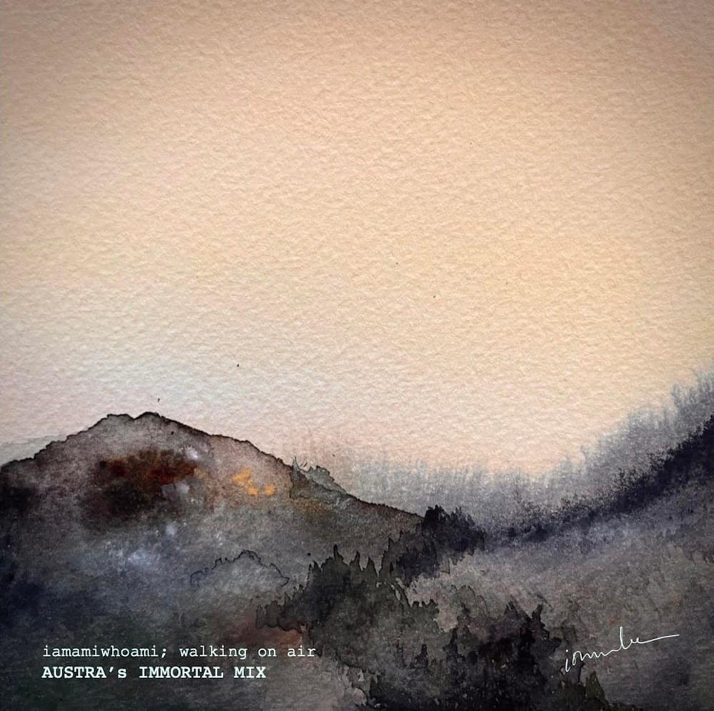 Album cover art for "walking on air (Austra’s immortal mix)" by iamamiwhoami