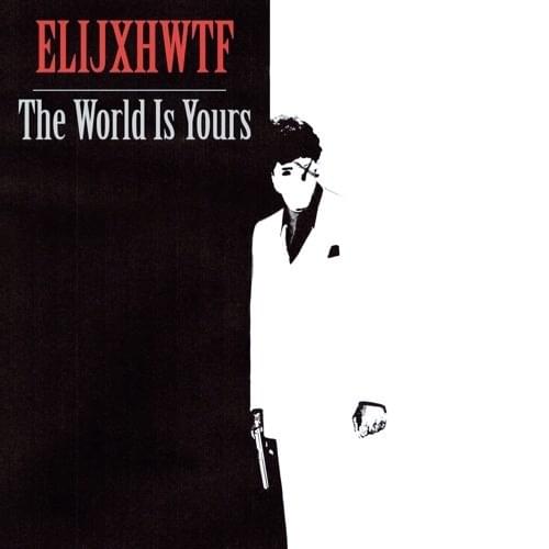 Cover image for the world is yours