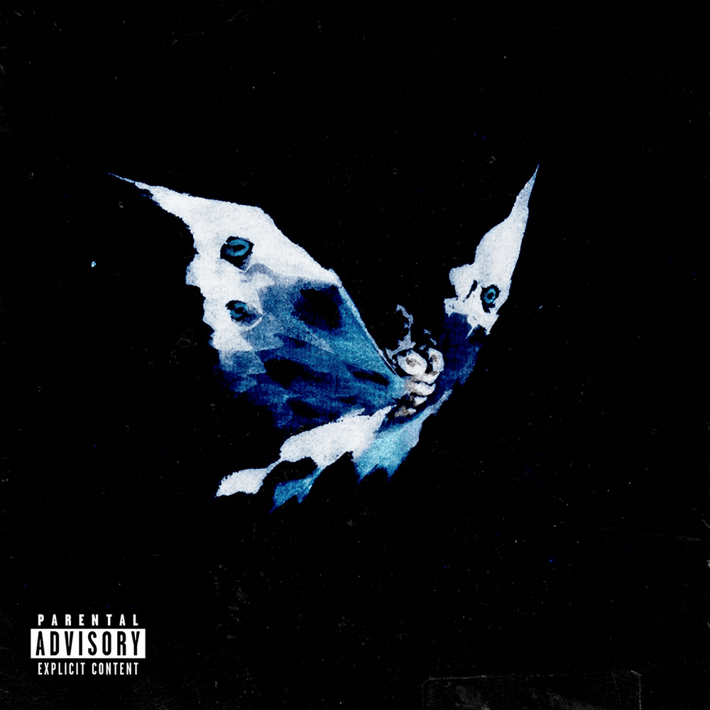 Album cover art for "Schmetterling" by Olexesh