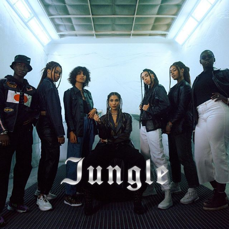 Album cover art for "Jungle" by Chilla