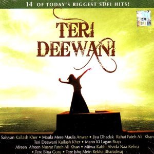 Cover image for Teri Dewani